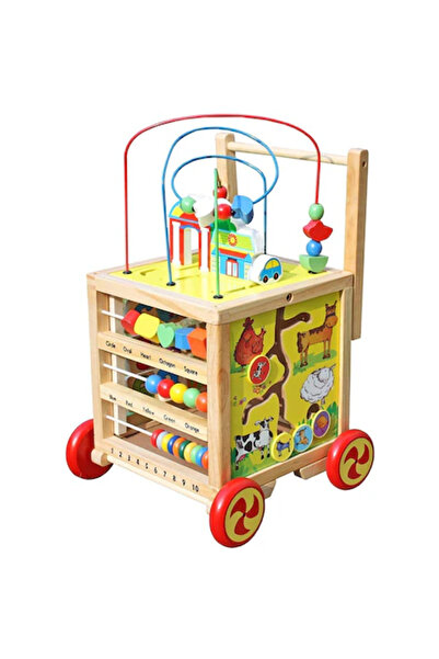 Toyska Antepremergator Cub Montessori cu activitati 6 in 1, varianta in limba...