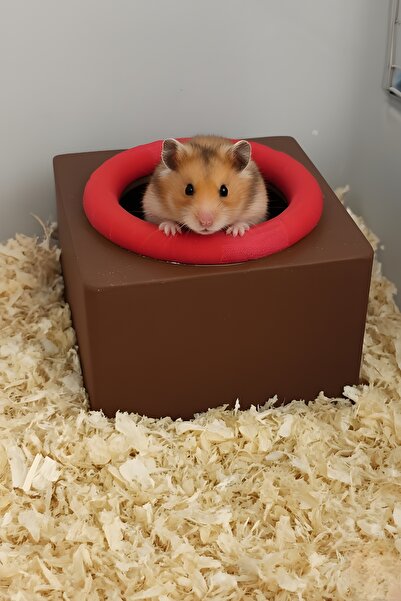 MDİZMİR Hamster Evi Kare Hamster Evi Hamster Evi Kafes ve Habitata Uygun