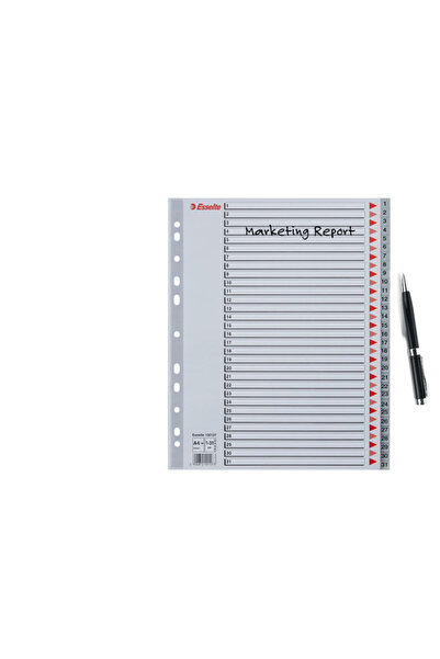 Esselte index, plastic, , A4 MAXI, 1-31, grey