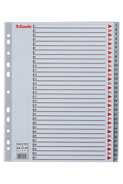 Esselte index, plastic, , A4 MAXI, 1-31, grey