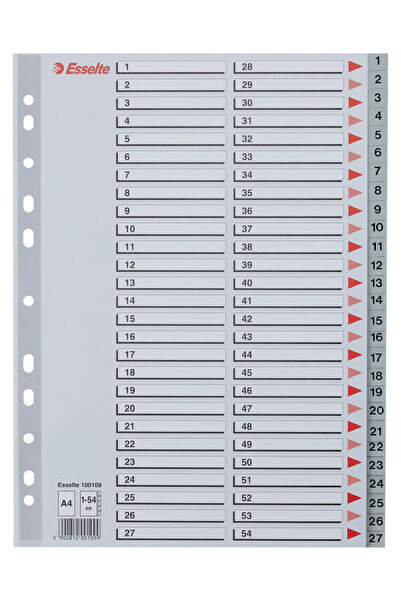 Esselte index, plastic, , A4, 1-54, grey