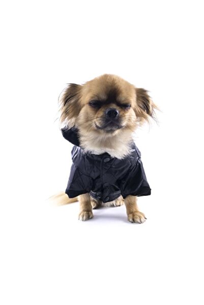 Doty Geacă călduroasă pentru câini de talie mică, mărimea 12/M, elegantă și confortabilă, material moale, design modern,