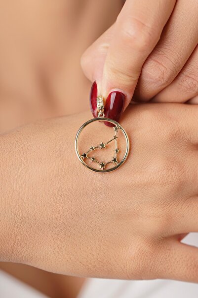 Fiyonk Kuyumculuk 14 Ayar Altın Oğlak Burcu Kolye Ucu Burç Yıldız Haritası