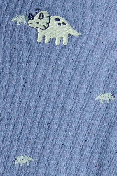 Carter's Baby Boy Blue Sleeping Bag