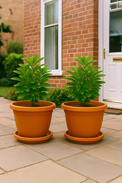 TEMMUZ HOME 2 Adet No7 8.8lt Tabaklı Mat Plastik Büyük Boy Ev Ofis Bahçe Saks...