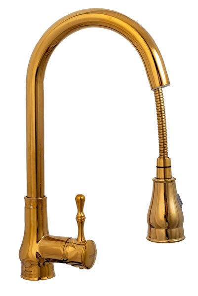 Trendy's Βρύση κουζίνας τύπου Swan, εξαγόμενη κεφαλή ντους, αεριστήρας