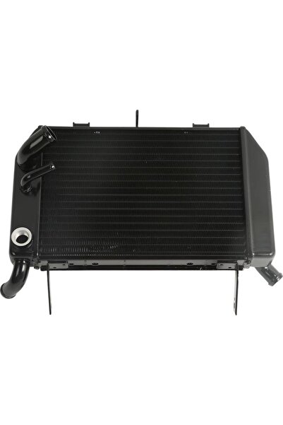 EVO MOTORS Radiator Suzuki TL 1000 TL1000R 1998-2003