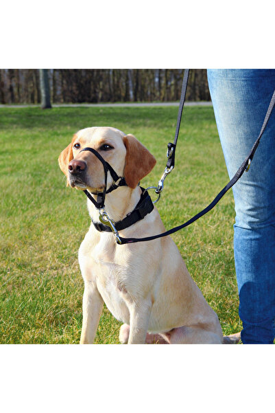 Trixie Botnita Pentru Dresaj, Top Trainer, S: 22 cm/35-42 cm, Negru, 13002