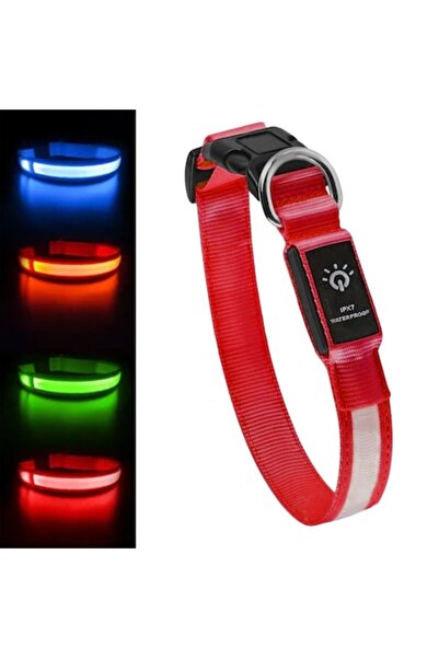 zioda smart essentials Zgardă LED pentru câini, zioda smart essentials®, reglabilă, reîncărcabilă USB-C, impermeabilă IPX7, dimensiune