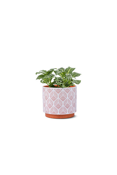 sultan garden center Ceramic Pot with a repeating geometric pattern