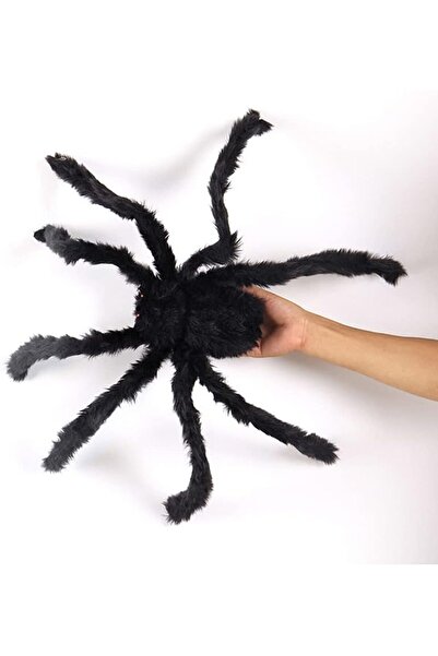 zola Decoratiune Halloween paianjen, paros, 50 x 50 cm, negru