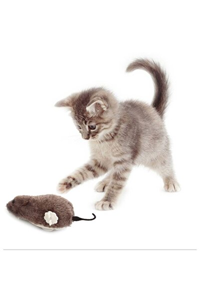 Bibilel Kids Interactive Toy for Cats, Wind-Up Mechanical Mouse, Brown, JMB-BBL7212