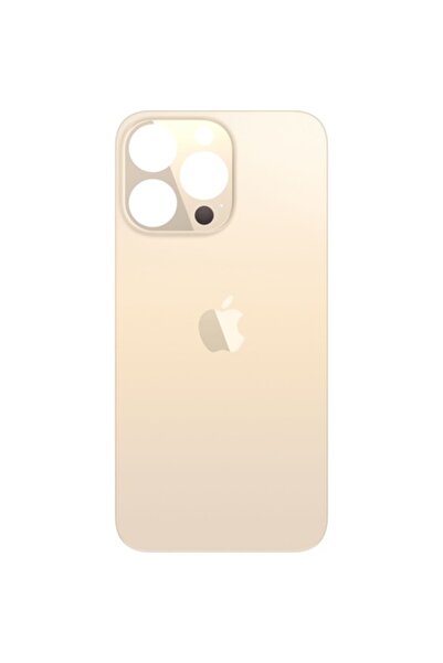 Apple Capac Baterie compatibil cu iPhone 13 Pro, Auriu