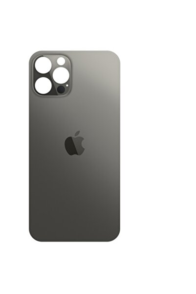 Apple Capac Baterie iPhone 12 Pro Max, Grey
