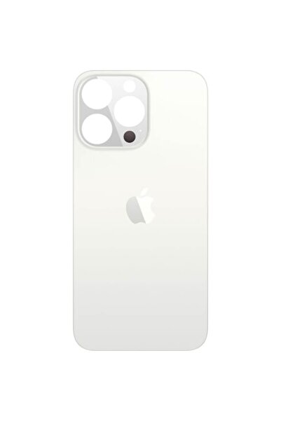 Apple Capac Baterie compatibil cu iPhone 13 Pro, Argintiu