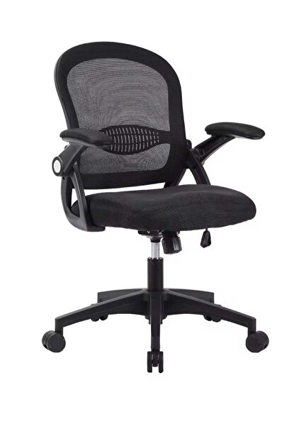 AGD Office Chair Comfort Ergonomic Height Adjustable Desk with Lumbar Support Backrest Mesh with Arm