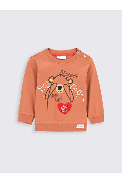 Coccodrillo Μπλούζα για αγόρι ZC2143102TRN Καφέ