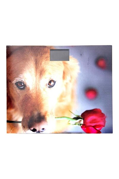 Generic Digital Weighing Scale