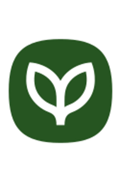 Clearspring Organic Extra Virgin Olive Oil - Italian 500ml