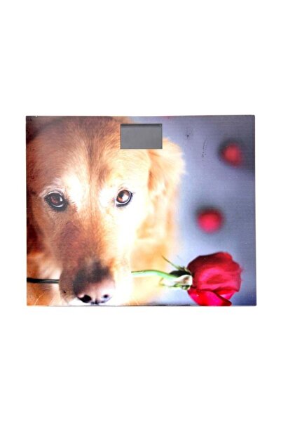 Generic Digital Bathroom Scale