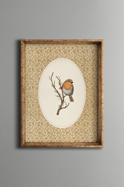 epiqart Kızılgerdan - Vintage Patterned Frame