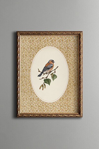 epiqart İspinoz Kuşu - Vintage Desenli Çerçeve