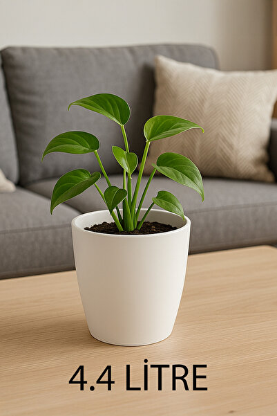 TEMMUZ HOME “1 Adet No:3 –4.4 Litre Tabaksız, Drenaj Izgaralı, Parlak Tasarım...