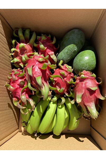 Tropical Bahçem Avantaj Paket