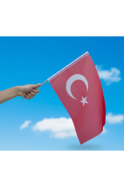 AKYILDIZ store 30 ADET Sopalı Türk Bayrağı 20x30 cm – Kumaş