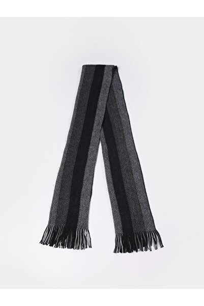 Colin's Men's Multicolored Scarf