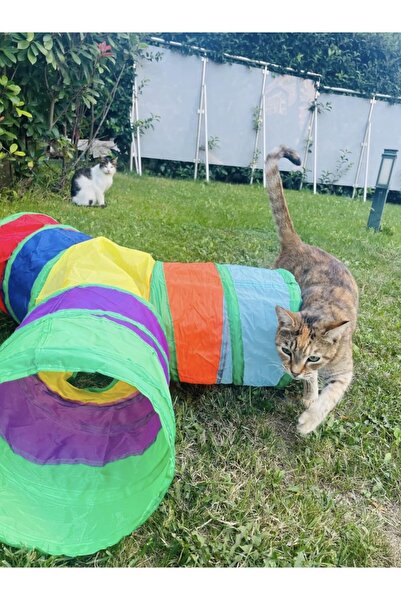 minossa 3 Yollu Renkli Katlanır Kedi Ve Köpek Oyun Tüneli, Eğlenceli Evcil Ha...