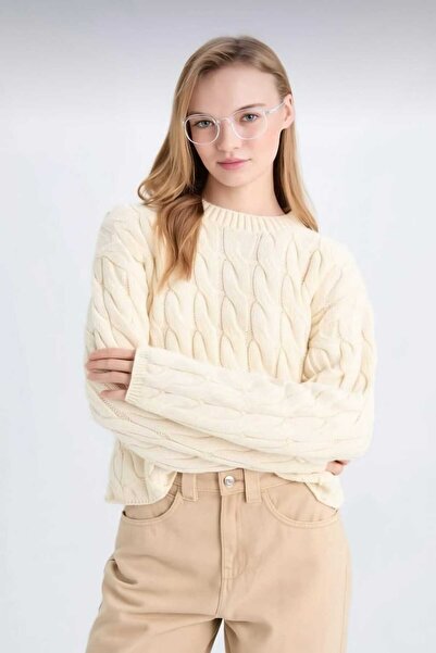 LUSHİGO Crop pentru femei Cool Regular Fit guler rotund Tricoturi împletite cu păr Pulover pentru femei MD571