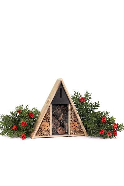 Greenmall Ahşap Böcek Oteli Üçgen