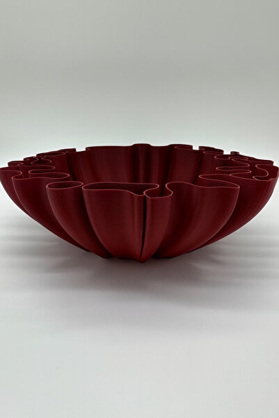 Vescarri Coral Kase – Modern Dekoratif Bowl