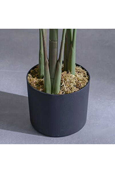 Danube Home Paradise Bird Plant | 145 cm Artificial Tropical Decor for Indoor/Outdoor | Realistic Home Décor