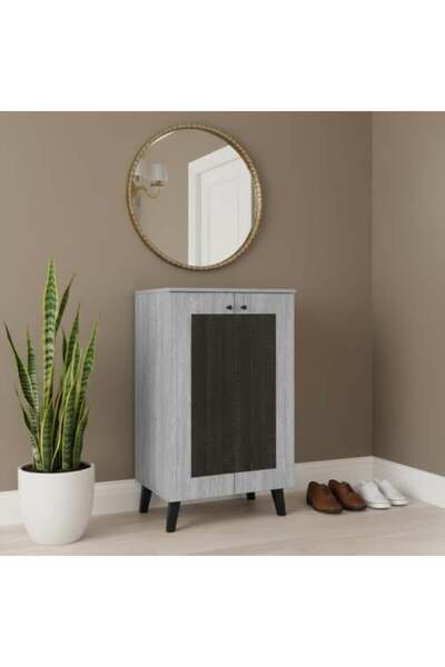 BAITY Two-Door Shoe Cabinet with Malaysian Wood - Gray and Black