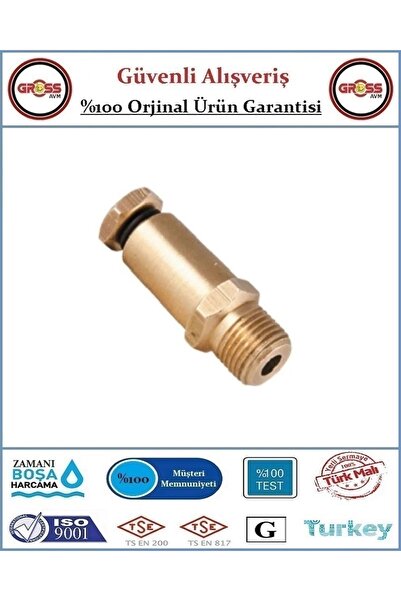 GrossAVM Doğalgaz Test Nipeli 1/8 Uzun - 40 Bar