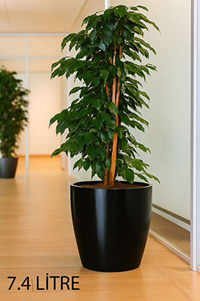 TEMMUZ HOME “1 Adet No:4 –7.4 Litre Tabaksız, Drenaj Izgaralı, Parlak Tasarım...