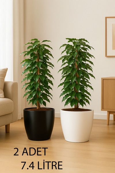 TEMMUZ HOME “2 Adet No:4 –7.4 Litre Tabaksız, Drenaj Izgaralı, Parlak Tasarımlı Dekoratif Bitki ve Çiçek Saksısı