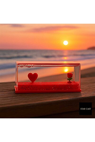STAR CAST Batmayan Kalp ve Gül Şişe Dekoratif Akvaryum