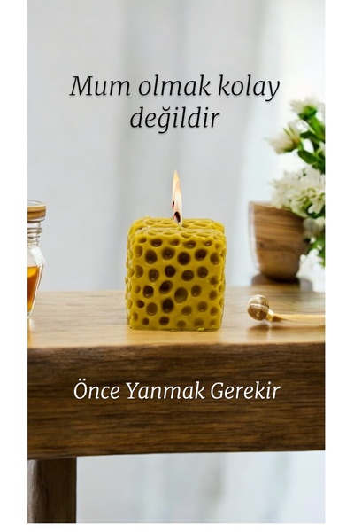 TROYA ARICILIK GIDA Sünger Balmumu