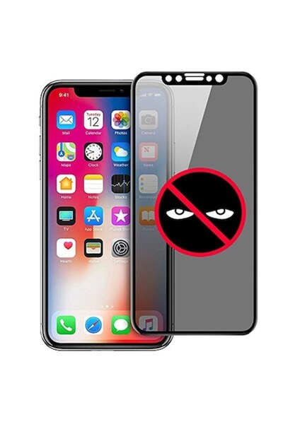 OEM Sticla Securizata Privacy, съвместим с iPhone 12 / 12 Pro