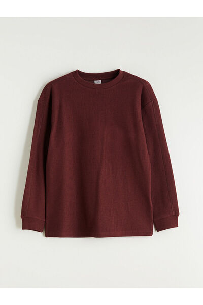 LC Waikiki Crew Neck Textured Boy's T-Shirt