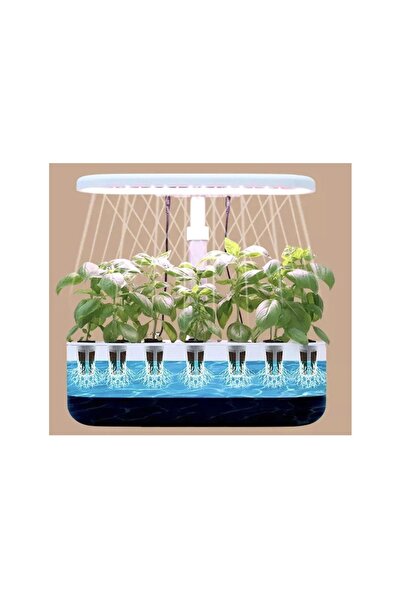 Petrix AKILLIBAHÇE 12 Bölmeli - Bitki - Sebze Yetiştirme - Akıllı Bahçe