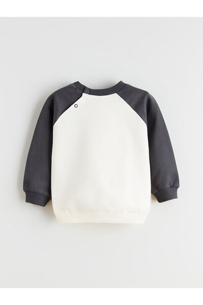 LC Waikiki Timeless Recommendations from Timeless Store |   Crew Neck Paw Patrol Printed Baby Boy Sweatshirt And…