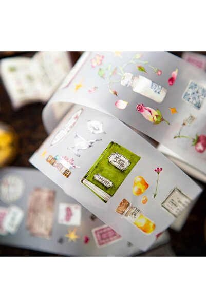 İthal Birou pentru botanist L23-80cm PET TAPE(OURS)