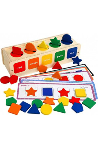 Picodino Joc de sortare a culorilor și formelor 2 în 1, cutie geometrică