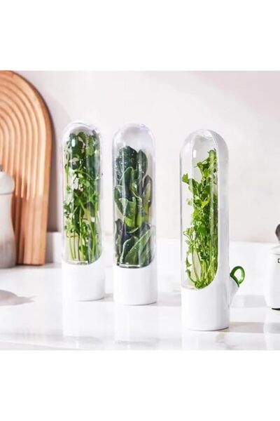 genric كوب بلاستيك لحفظ الخضراوات، حاويات الكزبرة للثلاجة، حاوية تخزين الأعشاب