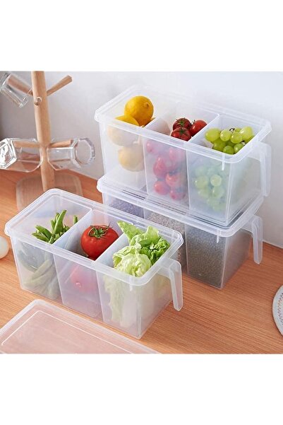 genric Kitchen Storage Containers with Handle,Plastic Food Storage Organizer ...