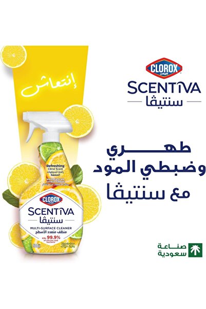 Clorox Scentiva Multi-Surface Cleaner Spray, Madagascar Citrus Garden, 500 ml